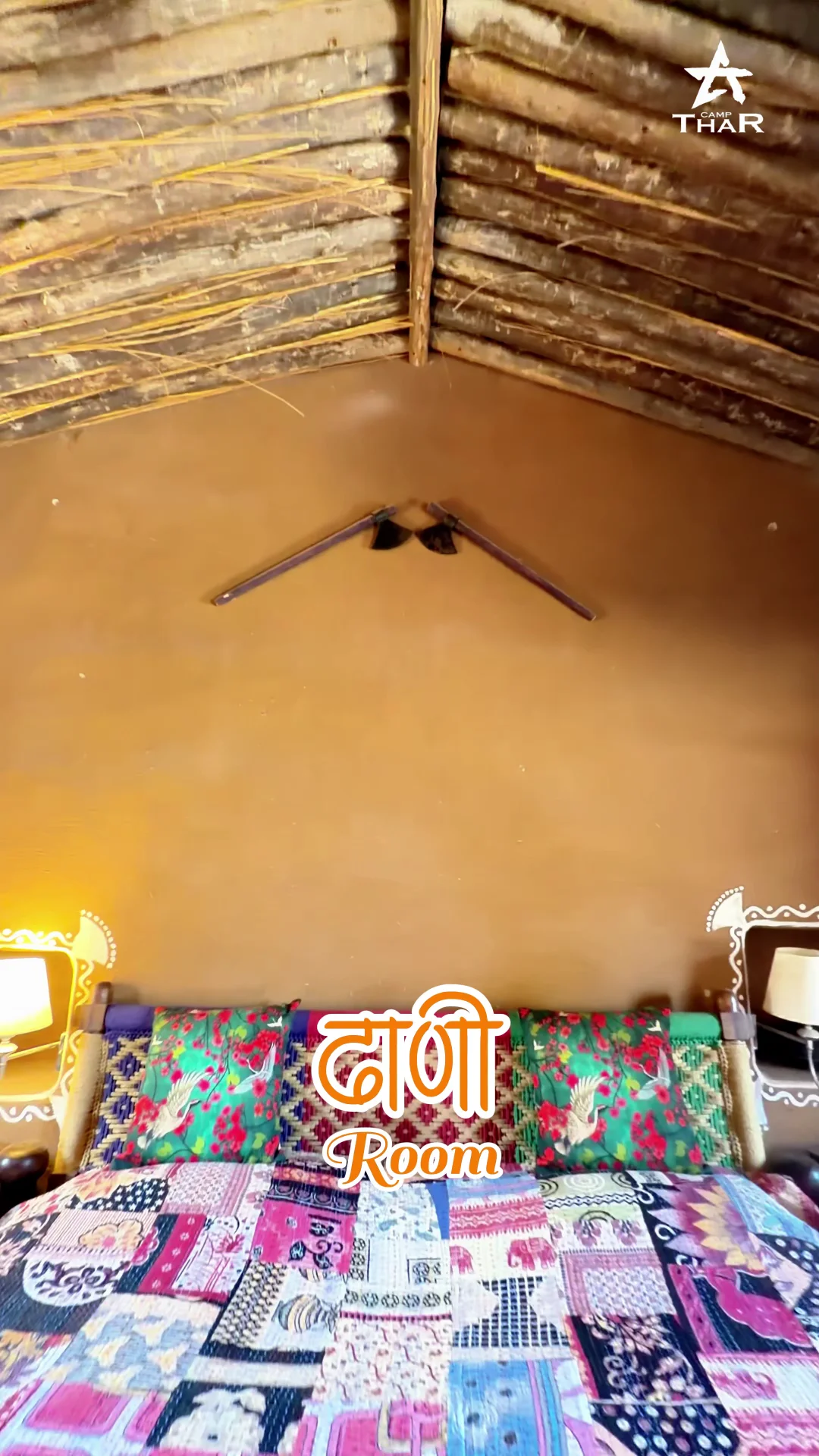 DHANI image 5