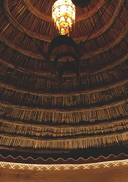 DHANI image 3